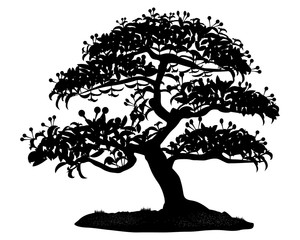 silhouette bonsai tree on white background vector design