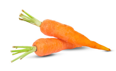 Carrot isolated on white background