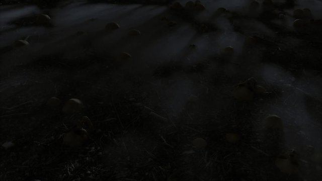 Abandoned creepy field with skulls on foggy ground, night and day light seamless loop animation.