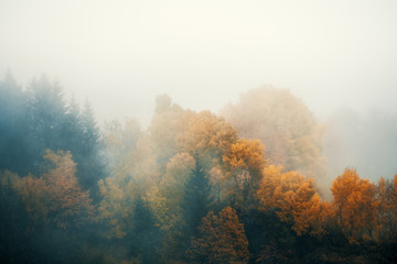 Autumn landscape in the Dolomites Alps, Trentino Alto Adige, Italy.