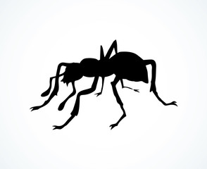 Ant. Vector drawing