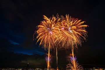 【信州の花火】諏訪湖祭湖上花火