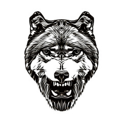 wild wolf face tatoo art