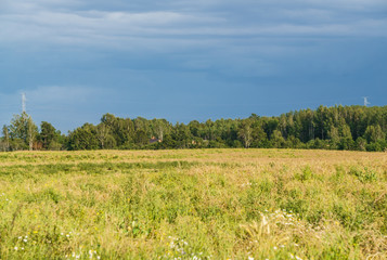 Fototapeta premium View of endless rural fields. A thunderstorm is approaching. Rural landscape in the summer.