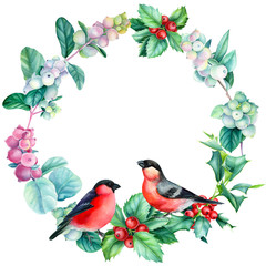 Winter wreath, beautiful birds bullfinches watercolor on a white background, christmas composition of holly, snowberries. New year holiday