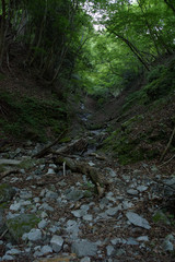 檜洞丸の登山道