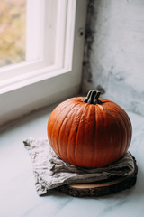 Pumpkin on marble background with copy space