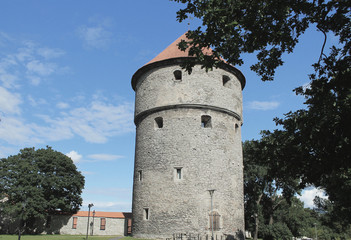 Medieval stone tower and a fragment of the fortress wall. Summer photo. In the upper right corner is a green tree branch. Against the background of blue sky.