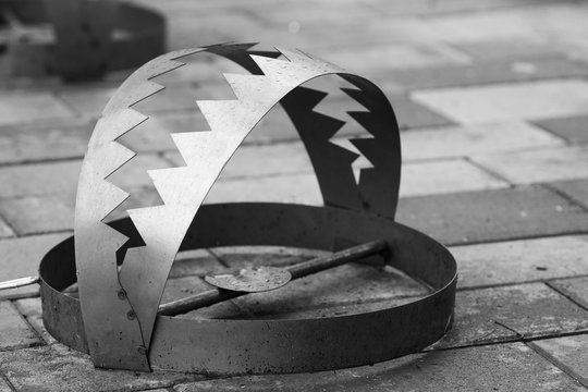 Human rights concept. Metal bear trap on the city road. Monochrome outdoor shot