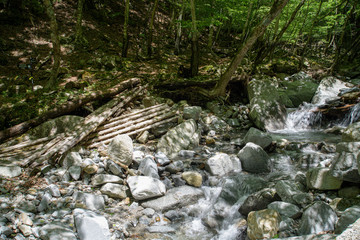 檜洞丸の登山道