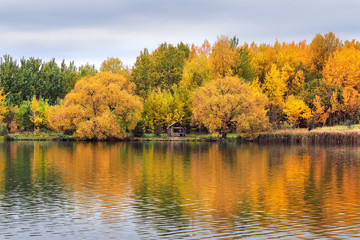 Autumn in the forest. Bright yellow and green trees by the lake. Reflection. November.