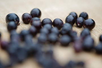 Beeren vom schwarzen Holunder