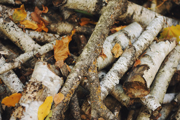Pile of chopped firewood birch