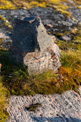 Obraz premium stone wall in garden