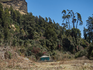 A small forest temple of Shiva at the edge of a blooming rhododendron forest near a rock. Mohare Danda Trek, near Lespar, Nepal