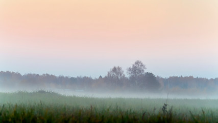 Fototapeta premium Rural landscape at dusk with fog