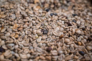 Kaffee aus El Salvador