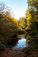 autumn in the park