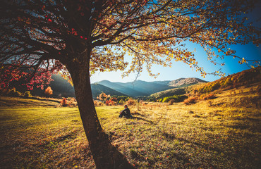 woman sitting under colorful tree in a beautiful autumn landscape
