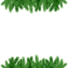 Beautiful frame with realistic spruce branches isolated on white background; Vector botanical illustration; Decorative texture with green Christmas tree twigs for greeting card, invitation or poster