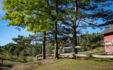 Fototapeta na wymiar wooden house at the edge of the forest fenced