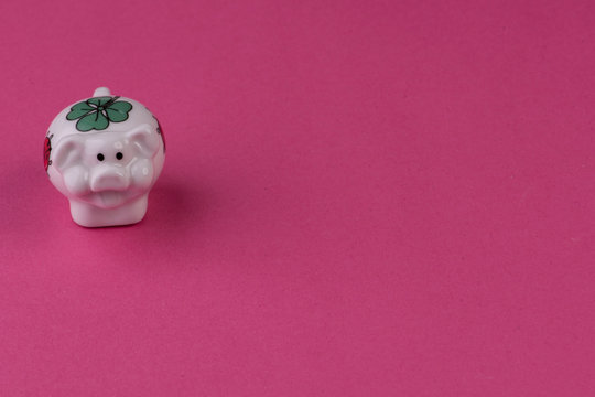 Lucky pig on pink background with text free space