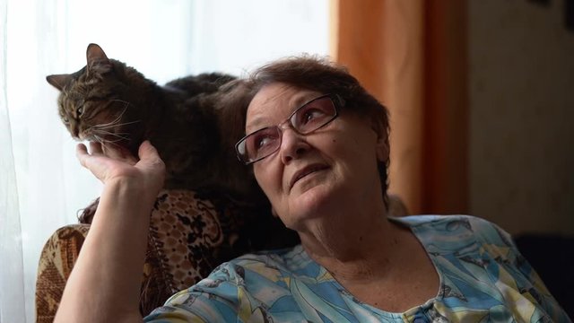 The old woman sits in an armchair and with a cat. Love with friend pet at home