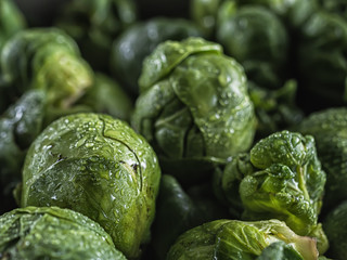 Fototapeta premium many small heads of brussels sprouts rosenkohl in drops of water close-up.