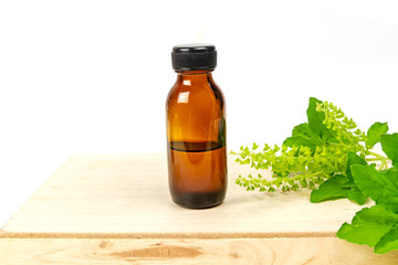 Holy Basil Essential Oil in bottle with Branch of Holy Basil Leaves on wooden isolated on white background.