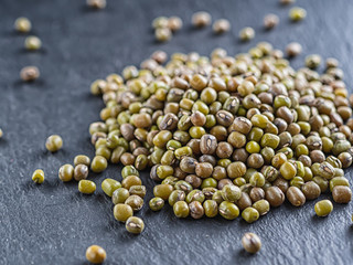 Mash soy bean grains are on the surface of the shale.