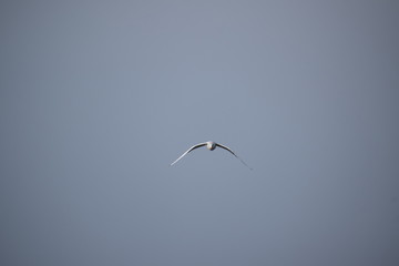 Hebst an derOstsee