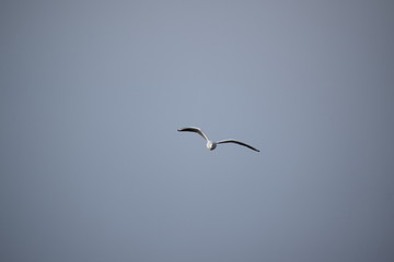 Hebst an derOstsee