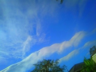 Heavenly  Louisiana Coastal Sky & Fluffy Ascending Cloud Formations