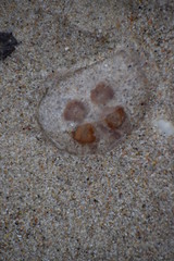 Herbst an der Ostsee