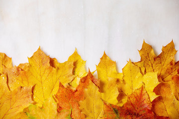 Red and yellow autumn maple leaves over white marble background. Flat lay. Fall creative background.