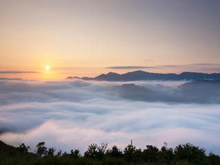 雲海