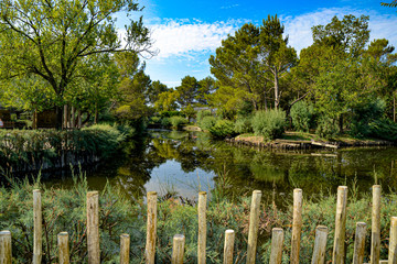 Brücke / Aussicht im Zoo Punta Verde in Lignano (Italien) / Landschaft / Bäume / See
