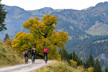 three happy senior adults, riding their mountain bikes in the autumnal atmosphere of the Bregenz...