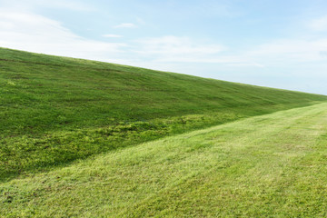 Obraz na płótnie Canvas Frisch gemähtes Gras auf dem Deich