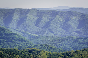 Fototapeta premium Bieszczady National Park, Subcarpathian Voivodeship of Poland, view from hiking trail to Tarnica mount