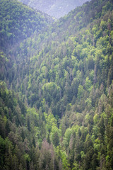 Fototapeta na wymiar Aerial view from rock shelf known as Tomasovsky vyhlad in Slovak Paradise mountain range in Slovakia