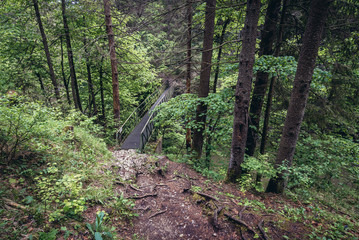 Birdge on the path along River Hornad in Slovak Paradise mountain range in Slovakia
