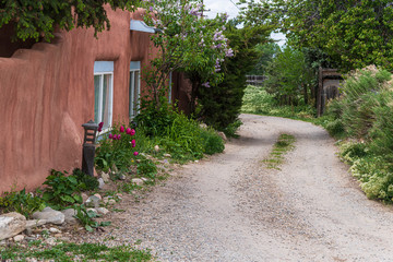 Country Lane