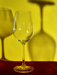 wine glasses and their shadows