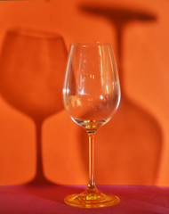 wine glasses and their shadows