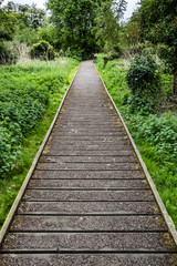 Low level view of a raised walkway showing the non-slip surface seen within a small nature reserve Island.