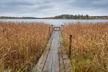 pier leads to water through thickets of dry reeds on Lake Ladoga