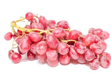 Red grape closeup on the white background- Image