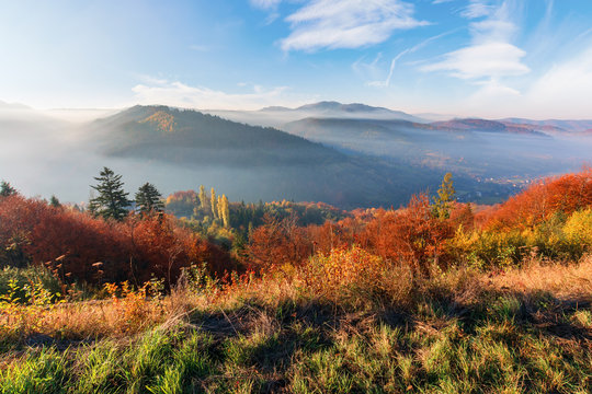 misty morning in carpathian mountains. gorgeous nature scenery in autumn season. trees in red and orange foliage. meadow in weathered grass. distant ridge in foggy atmosphere beneath a blue sky