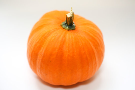 pumpkin isolated on white background - Image